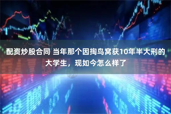 配资炒股合同 当年那个因掏鸟窝获10年半大刑的大学生，现如今怎么样了