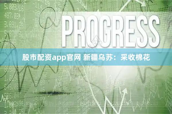 股市配资app官网 新疆乌苏：采收棉花
