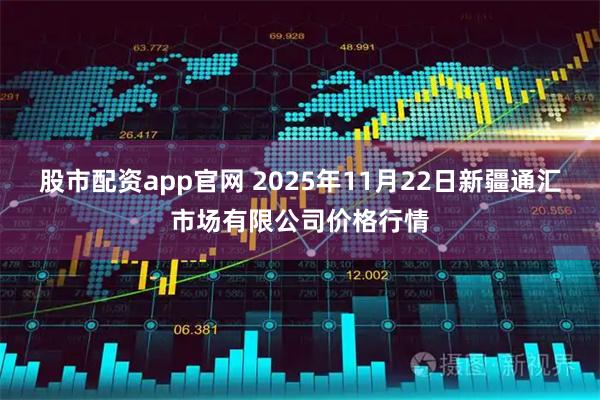 股市配资app官网 2025年11月22日新疆通汇市场有限公司价格行情