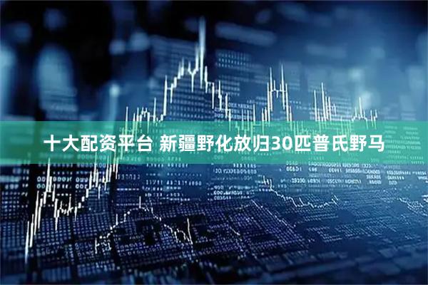 十大配资平台 新疆野化放归30匹普氏野马